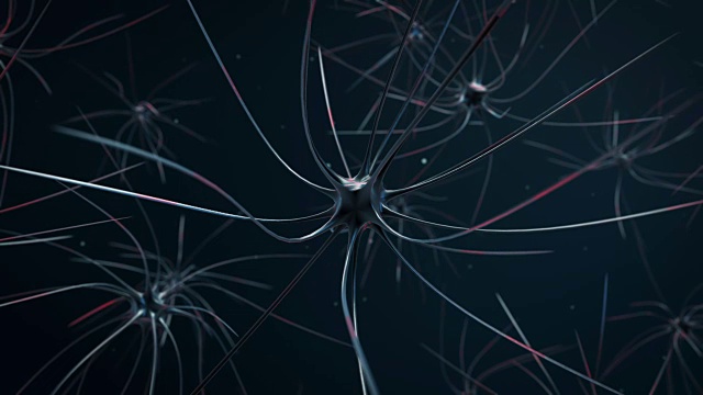 神经冲动在人体内的传递三维动画视频素材