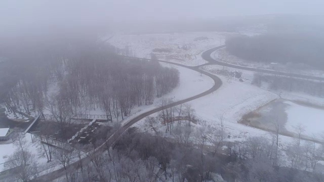 树上满是积雪视频素材