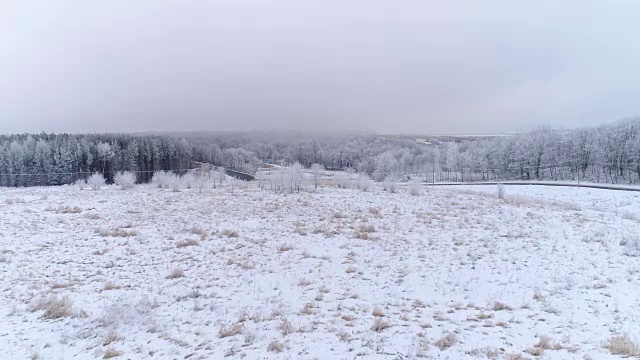 Lahemaa雪地的风景视频素材