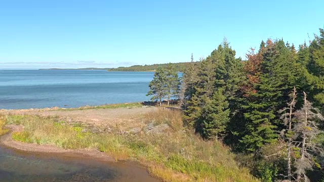 图片:松树和云杉森林覆盖在大淡水湖岸边视频素材