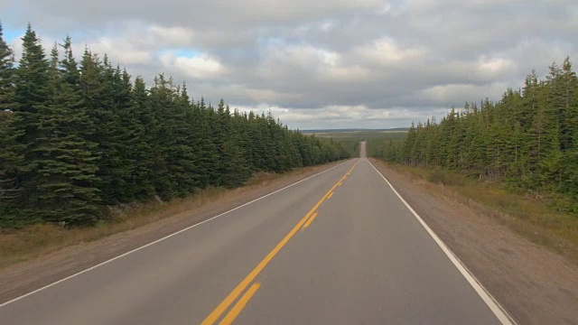 FPV:行驶在空旷的乡村公路上，穿过茂密的云杉林视频素材