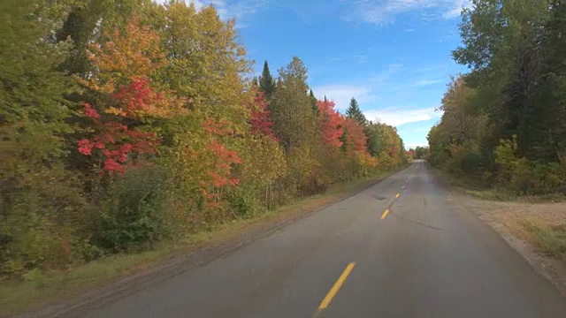 POV:在空旷的高速公路上通过混合的秋天树叶森林在阳光明媚的一天视频素材