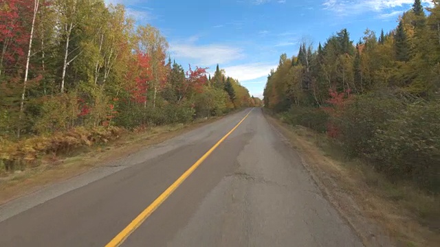 FPV:在阳光明媚的日子里，在空旷的高速公路上穿越落叶混交林视频素材