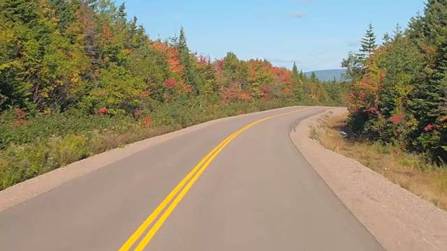 FPV:行驶在空旷的高速公路上，穿过加拿大的落叶混交林视频素材