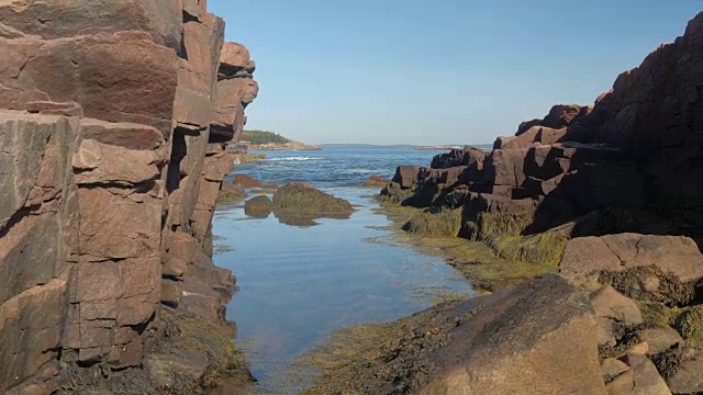 特写:在美国缅因州的岩石海岸上，海藻覆盖着锯齿状的岩石视频素材