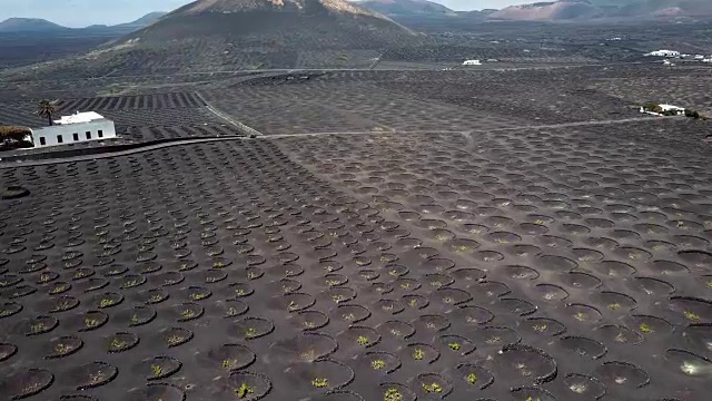 西班牙，加那利群岛，兰萨罗特岛，葡萄酒谷的航拍全景图视频素材