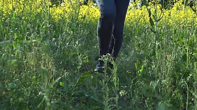 那女孩正走在油菜地上视频素材