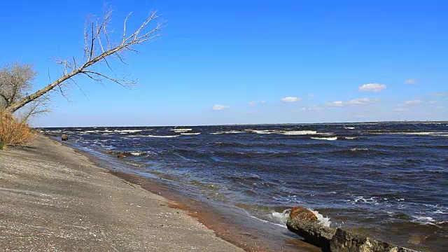 海浪与树视频素材