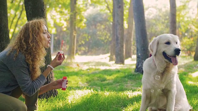 年轻的女性与拉布拉多寻回犬在公园玩泡泡视频素材