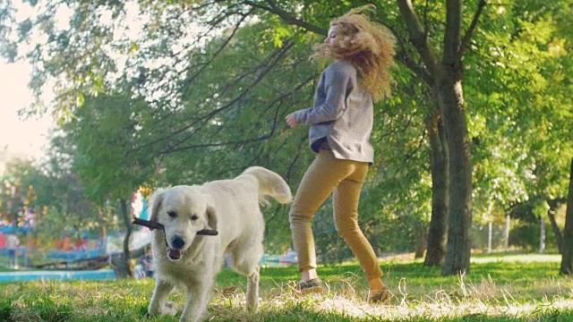 在公园里，年轻的母犬和拉布拉多寻回犬玩耍，慢镜头视频素材