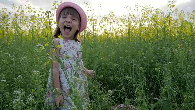 小女孩跳出来，从高高的草丛中窥视，惊喜，有趣的游戏，孩子们在带花的田野上，家庭自然在日落，孩子在户外视频素材