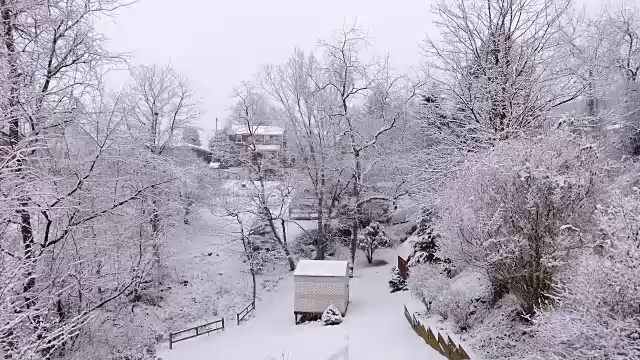 多莉拍摄的冬季仙境视频素材