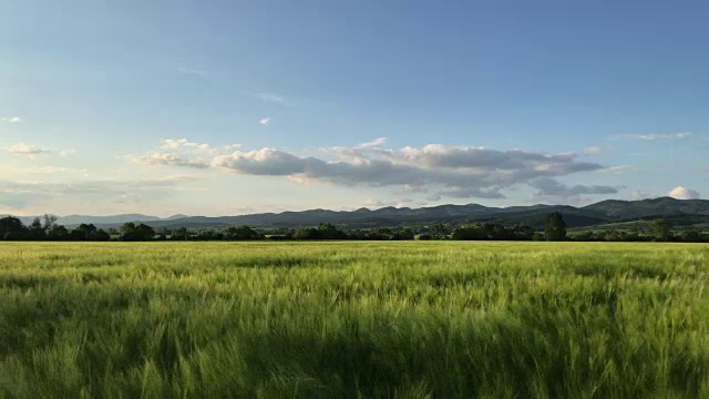 日落时的麦田和乡村景观，4K视频素材