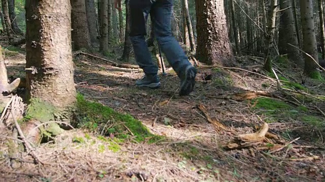 年轻女子在森林里徒步旅行视频素材