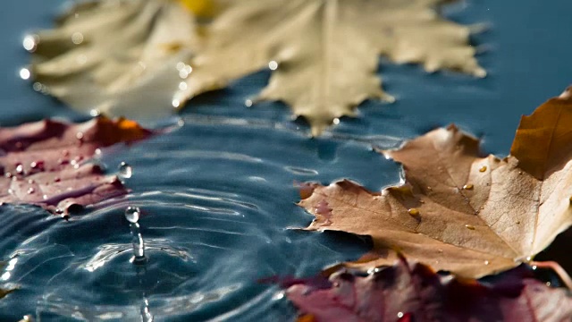 太阳雨滴落水坑视频素材