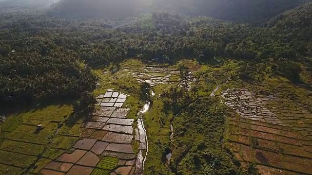 稻田鸟瞰图。菲律宾视频素材