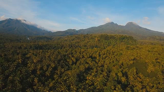 有热带森林的山脉。Camiguin岛菲律宾视频素材