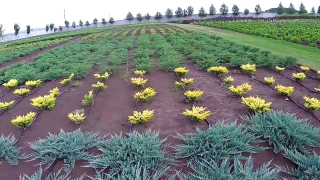 植物栽培全景、总体规划、园地中心、植物浇水、育苗视频素材