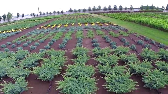 植物栽培全景、总体规划、园地中心、植物浇水、育苗视频素材