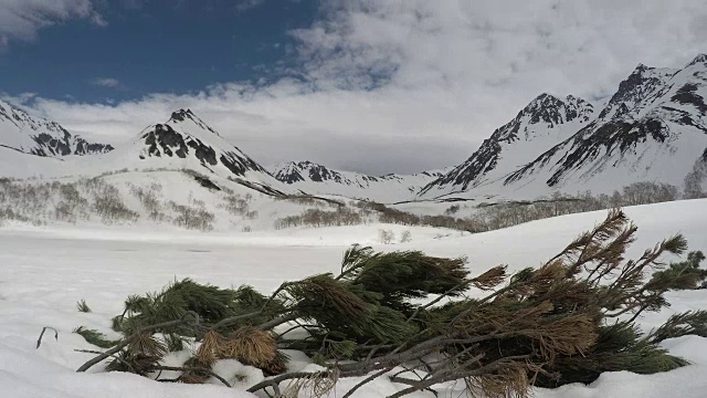 常绿的普米松在背景雪山和云漂移的天空视频素材