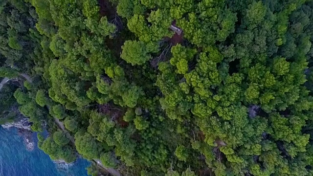 鸟瞰图:飞越海洋和森林视频素材