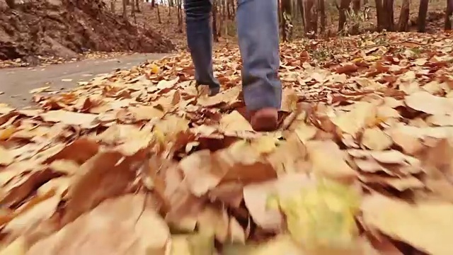 在秋叶中赤脚行走的人视频素材