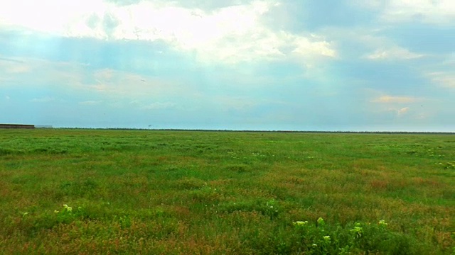 春天风景草原视频素材