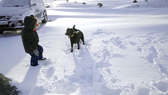 冰岛风景优美自然，冬天雪冷，外面有孩子和狗玩耍视频素材