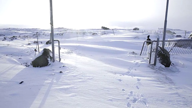 冰岛风景优美自然，冬天雪冷，外面有孩子和狗玩耍视频素材