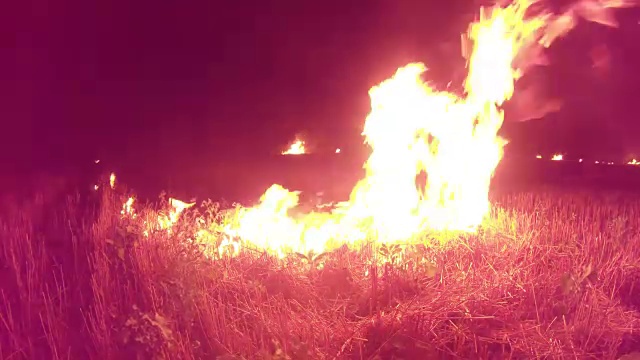 黑暗中，几炉火焰慢慢地吸收地里的干草视频素材