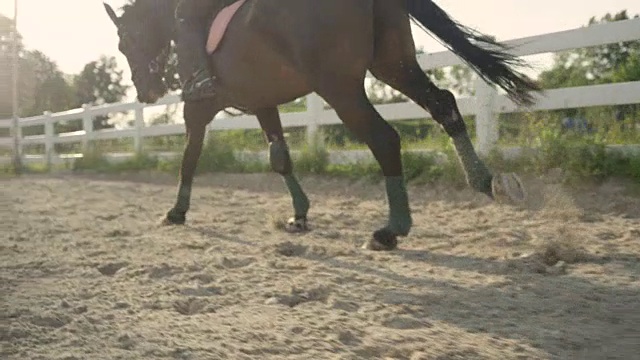 慢动作:马和不认识的骑手在户外骑马舞台上慢跑视频素材