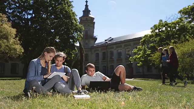 大学生积极在校园草坪上学习视频素材