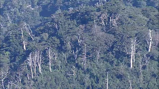 日本鹿儿岛屋久岛航拍视频素材