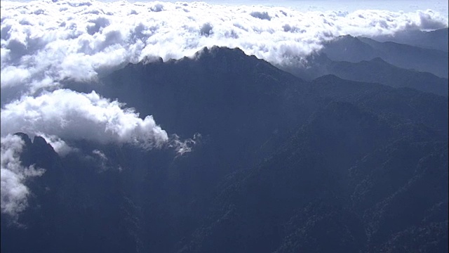 日本鹿儿岛屋久岛航拍视频素材