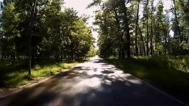 在公园的小路上骑自行车的特写。前轮视角视频素材