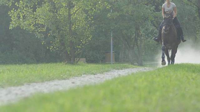 慢镜头:年轻女子骑着种马在公园的沙路上奔驰视频素材