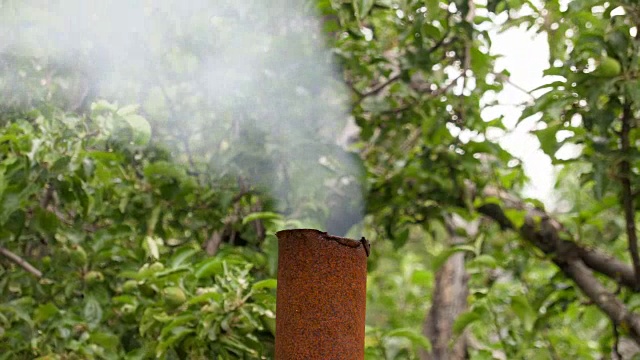 苹果树的背景上，从生锈的金属管里冒出来的烟视频素材