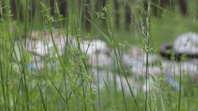 垃圾堆在森林里，环境污染，夏日阳光明媚，森林里，绿树成荫。视频素材