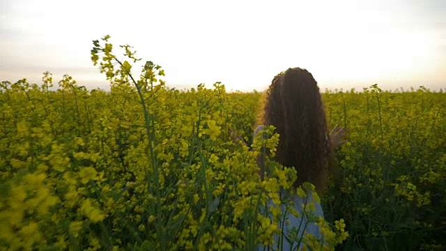 热爱大自然的少女在乡村度假期间，在夏日漫步穿过一片金色的油菜地视频素材