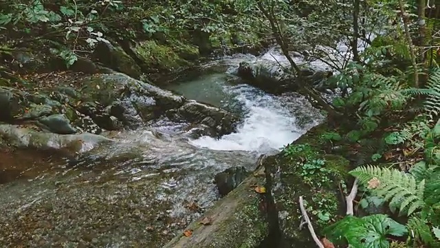 一条清澈的山河在石头之间流淌。特写镜头视频素材