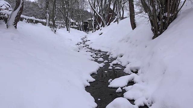 在冬天的时候公园里，刚下过雪，就从小溪里跑出来。FullHD视频素材