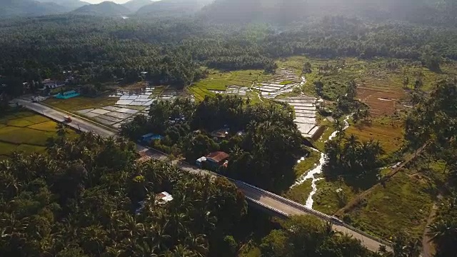 稻田鸟瞰图。菲律宾视频素材