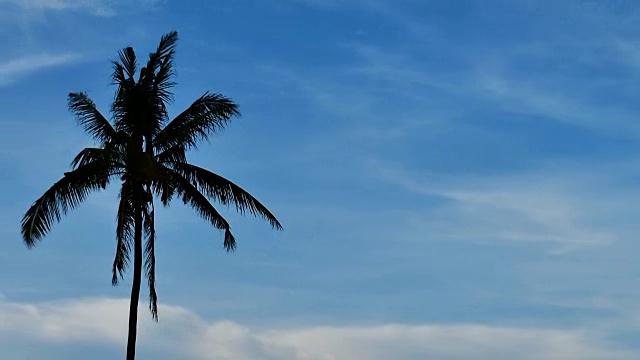 白沙热带海滩与绿松石水，椰子树摇摆在风中和路过。视频素材