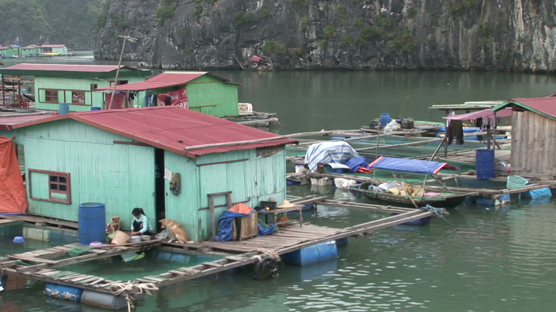 越南下龙湾:越南下龙湾的浮动房屋视频素材