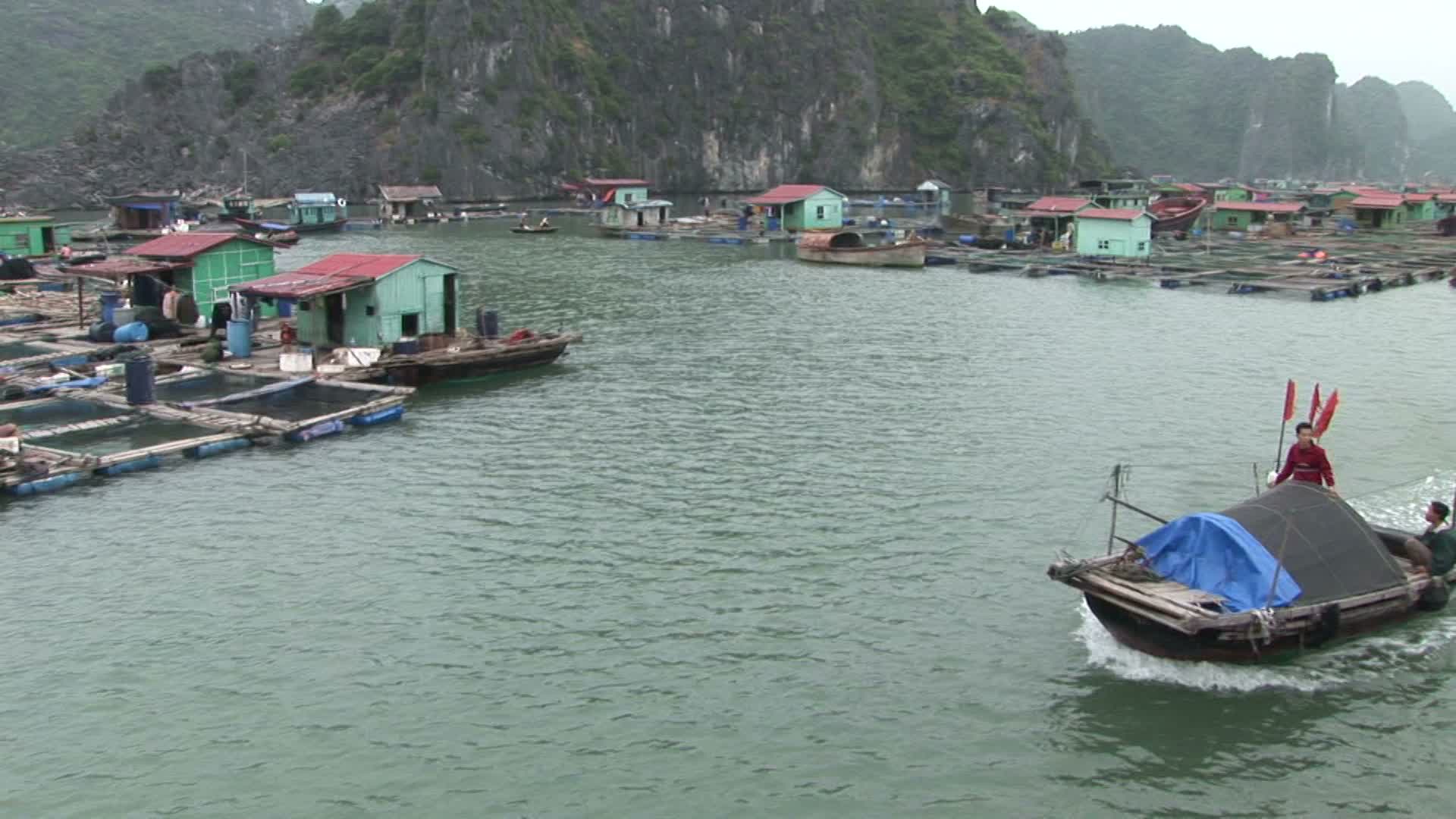 越南下龙湾:越南下龙湾的浮动房屋视频素材