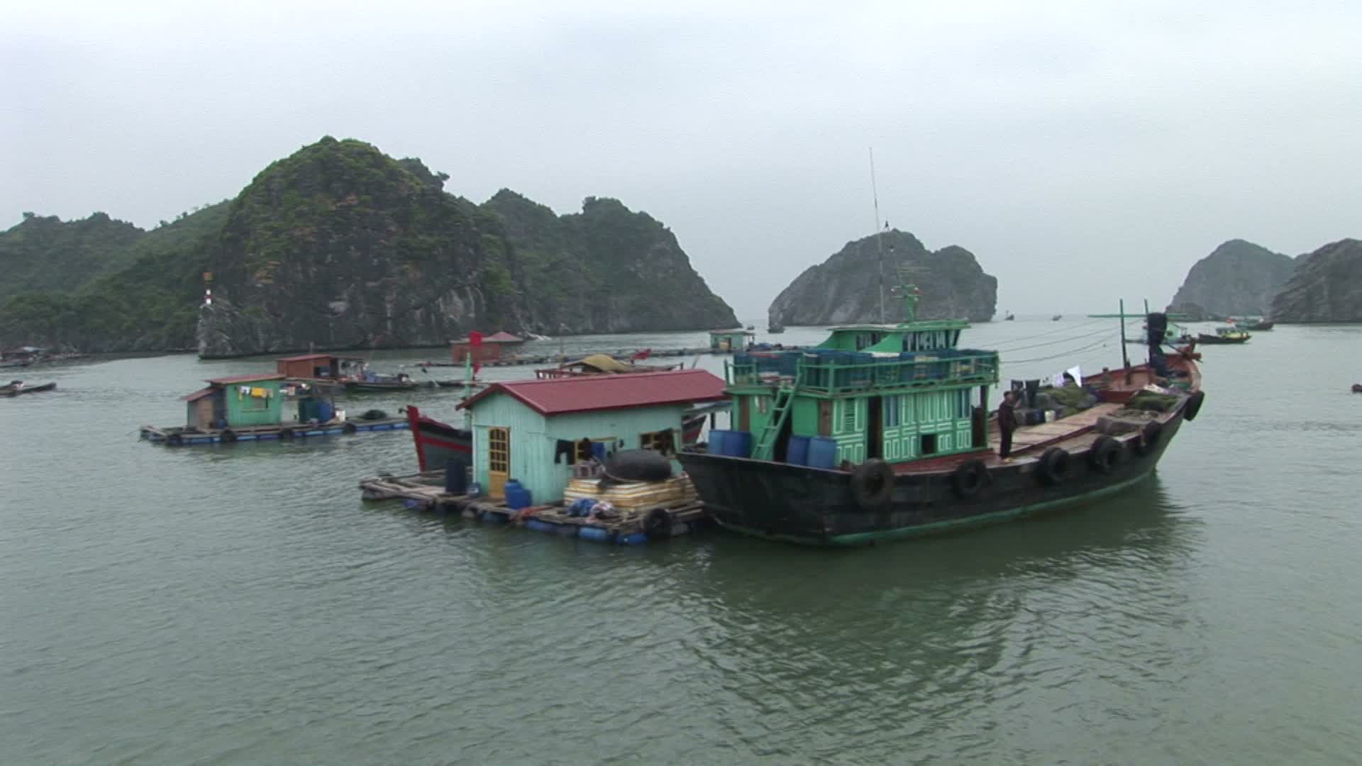 越南下龙湾:越南下龙湾的浮动房屋视频素材