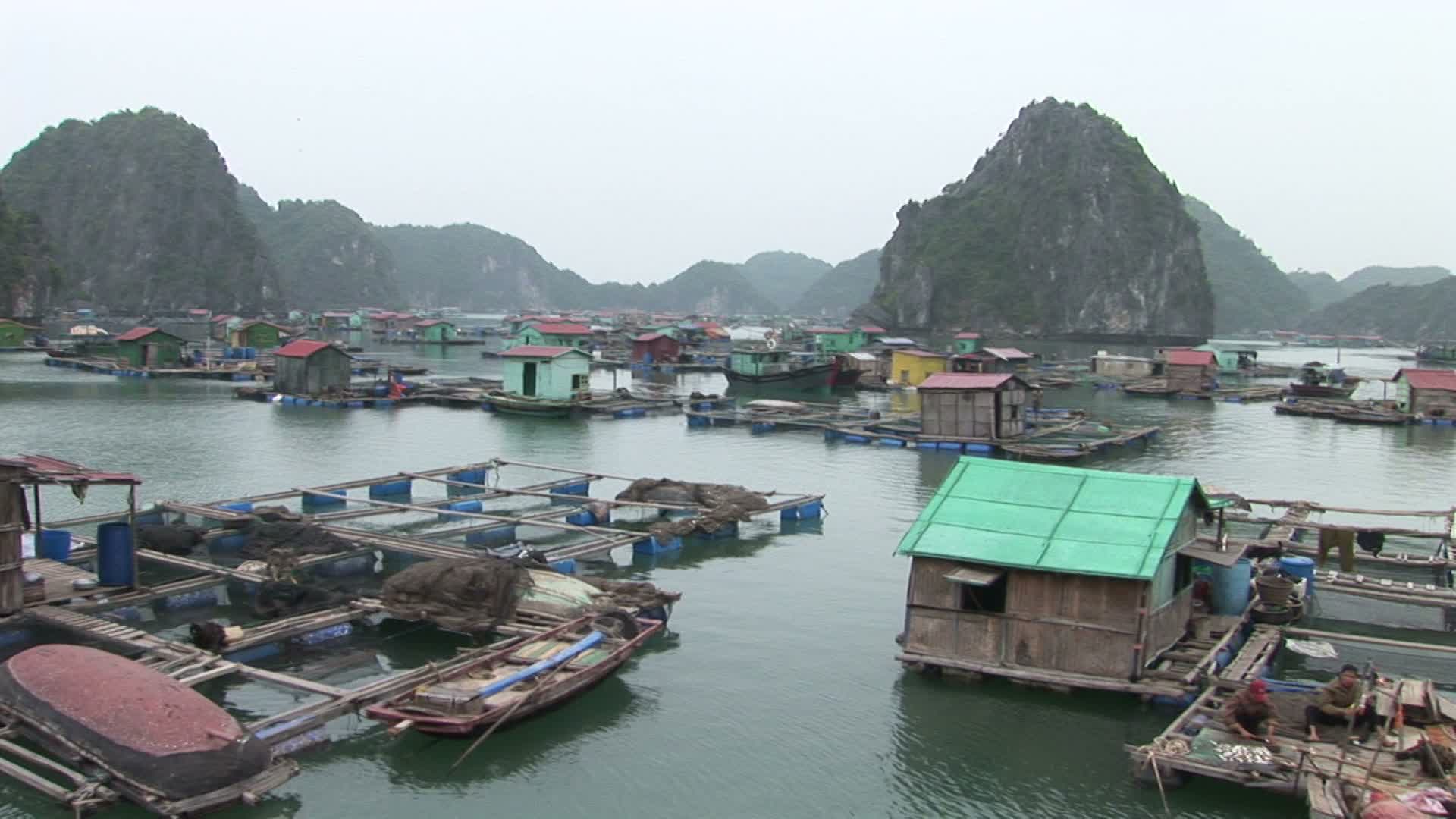 越南下龙湾:越南下龙湾水上村庄视频素材