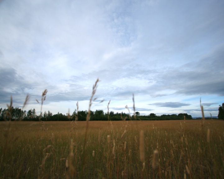 time-lapse of grass field with clouds moving in skylapse of clouds rushing by as wind blows grass field .时间-lapse of clouds rush by风吹过草地视频素材