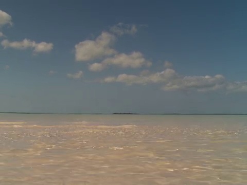 海滩浅水，港湾岛，巴哈马群岛视频素材