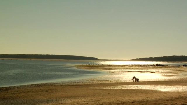 WS，三个人在日落海滩上的剪影，Wellfleet，马萨诸塞州，美国视频素材